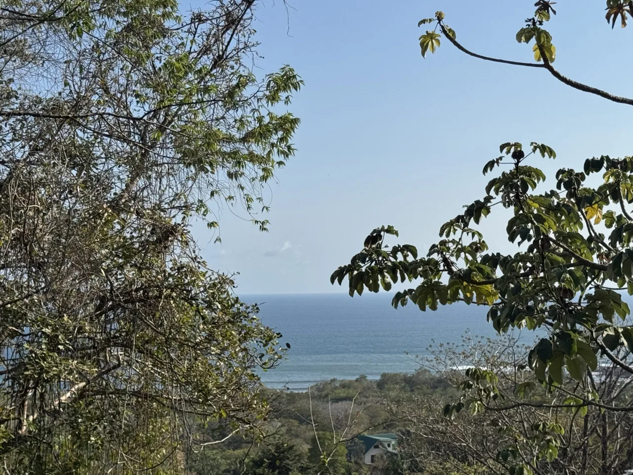 Stunning Ocean view lots in Camaronal Beach