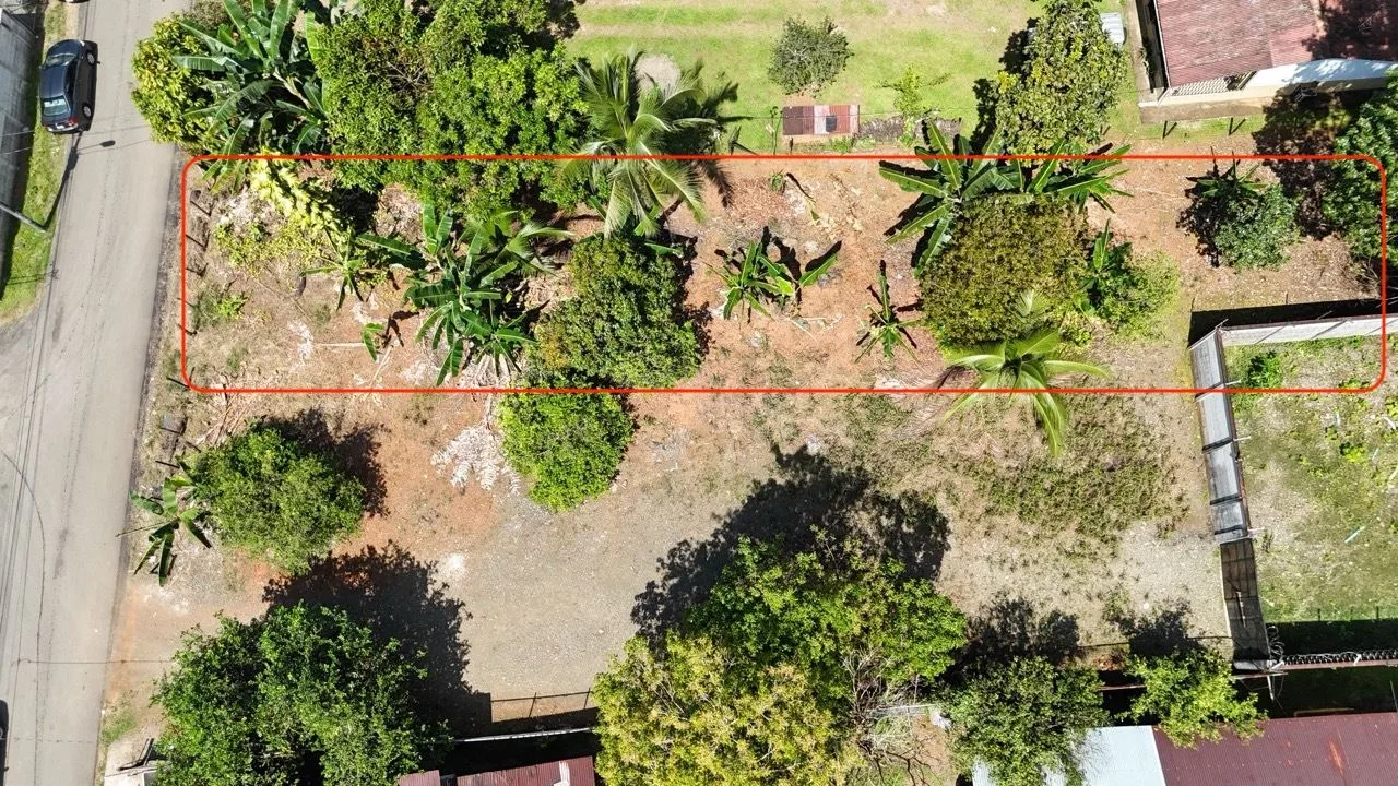 Looking for an Affordable Lot Near Marina Pez Vela?