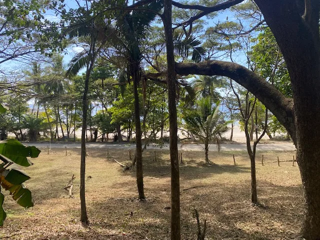 Ocean Front Manzanillo Property