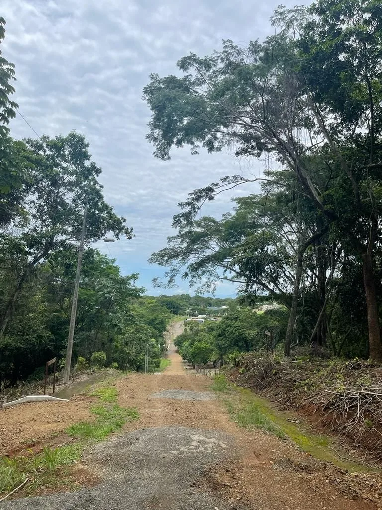 Lots │ Lagunillas │ $30 x m2