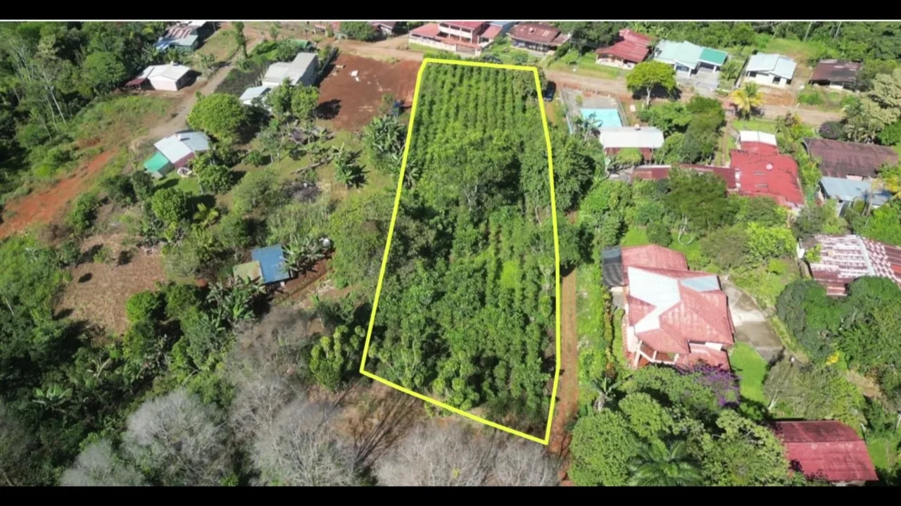 Stunning Lot for Sale (0.64 acres) in Santa Elena, San isidro de El General.