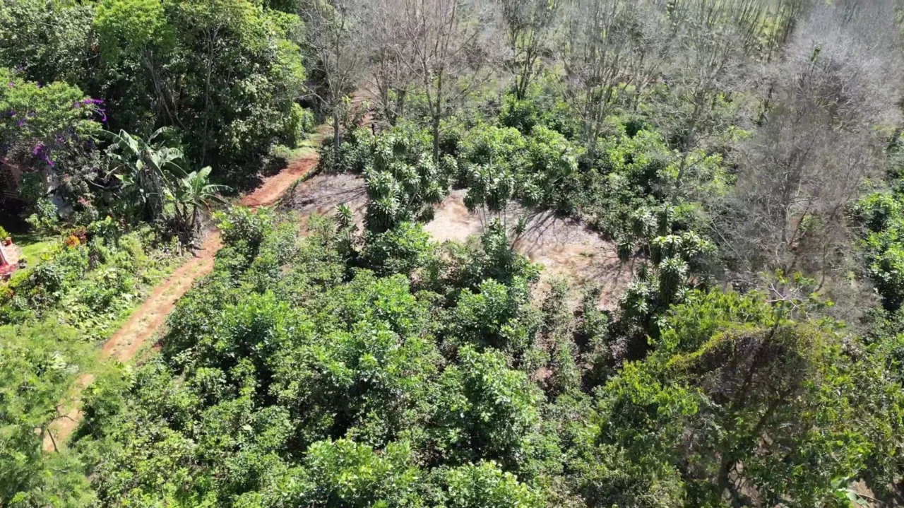 Stunning Lot for Sale (0.64 acres) in Santa Elena, San isidro de El General. — photo 2
