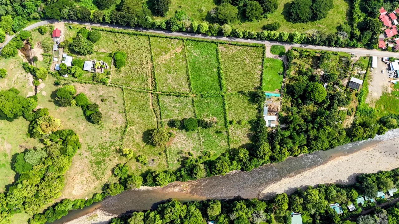 38.95-Acre Flat Farm Near Dominical, Costa Rica | Prime Development &amp; Investment Opportunity