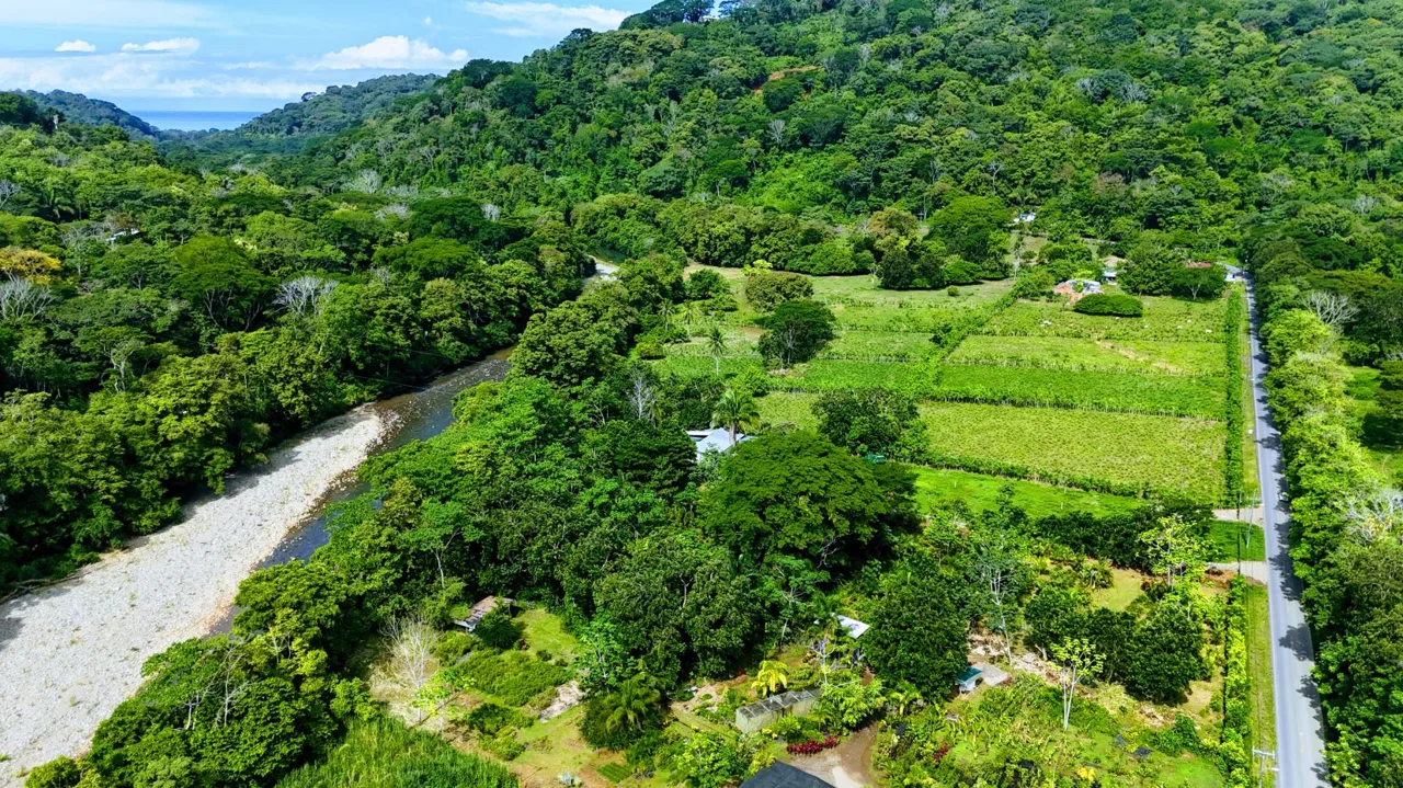 38.95-Acre Flat Farm Near Dominical, Costa Rica | Prime Development &amp; Investment Opportunity — photo 2