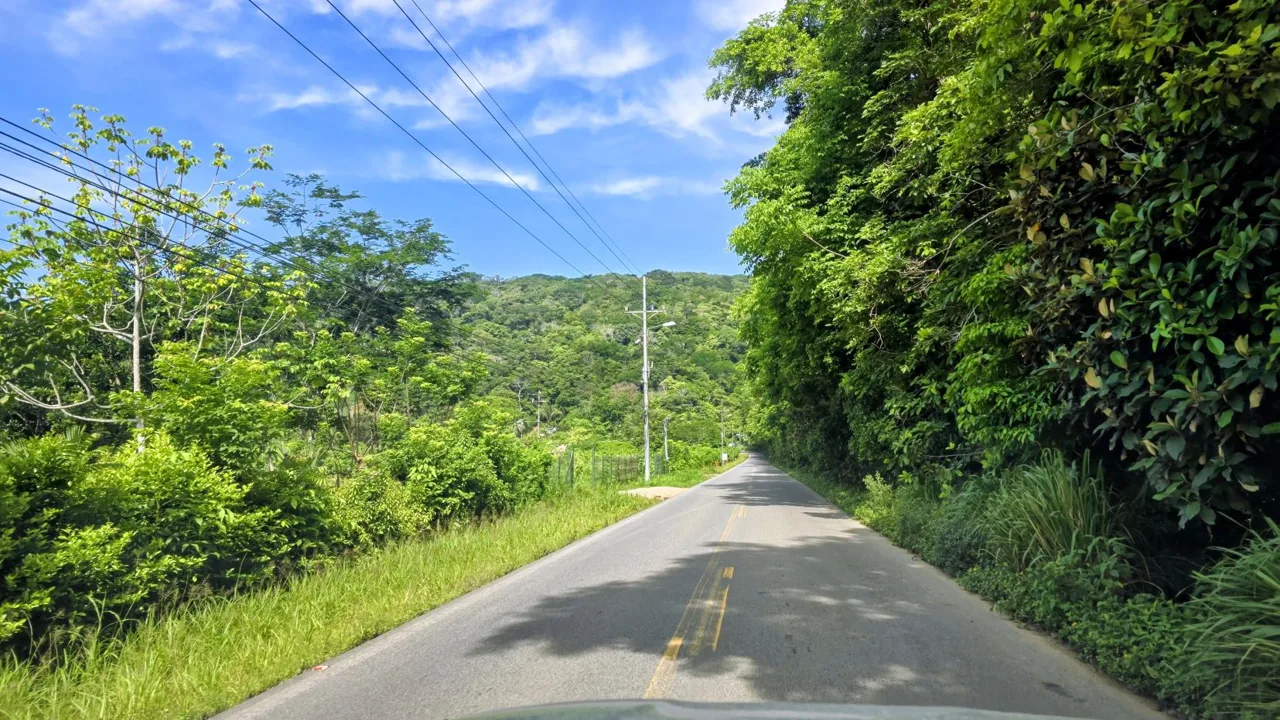 38.95-Acre Flat Farm Near Dominical, Costa Rica | Prime Development &amp; Investment Opportunity — photo 4