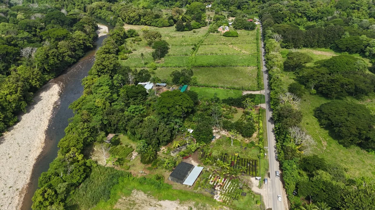 38.95-Acre Flat Farm Near Dominical, Costa Rica | Prime Development &amp; Investment Opportunity — photo 5