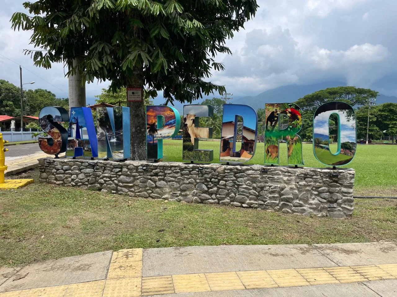 🌿 UNIQUE PROPERTY FOR SALE IN SAN PEDRO TURRUBARES 🌿
