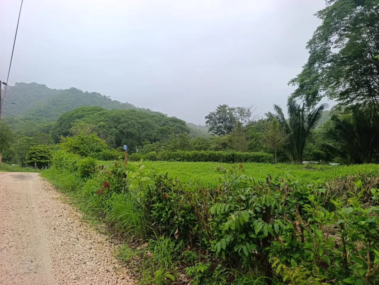 1,800 m² Lot Just 10 Minutes from the Beach on the Nicoya Peninsula