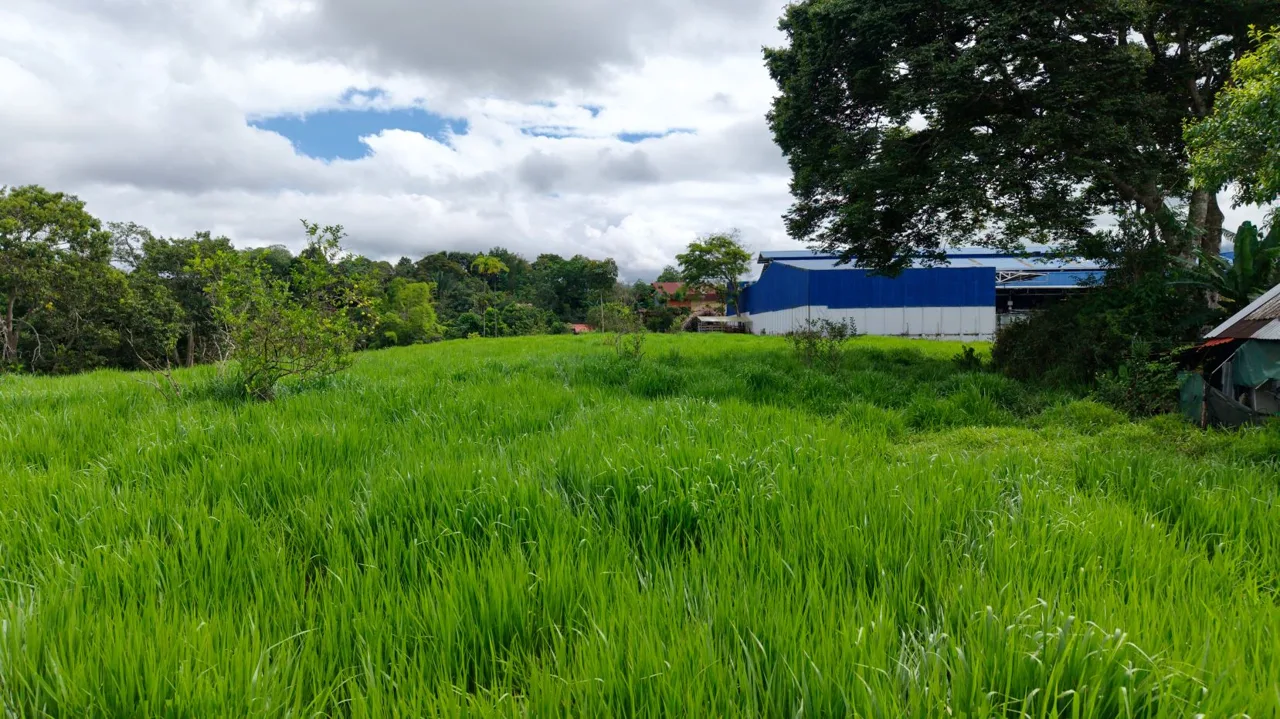 Unique Opportunity! Prime Commercial Lot for Sale in Perez Zeledon — photo 3