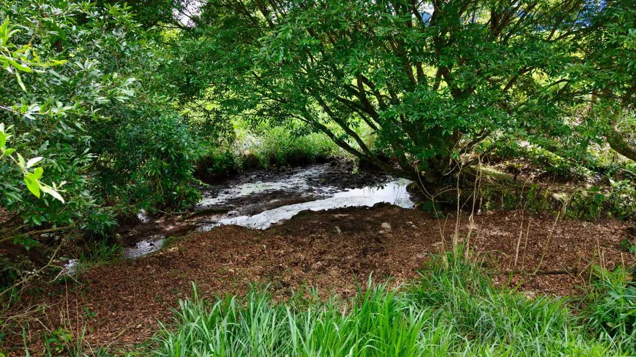 Unique Opportunity! Prime Commercial Lot for Sale in Perez Zeledon — photo 4
