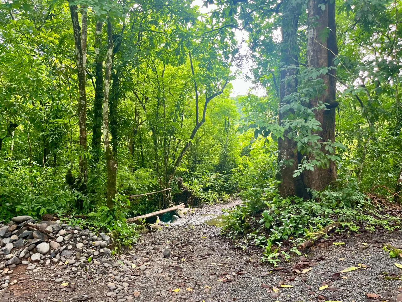 Sustainable Nature Retreat &amp; Income Property for Sale