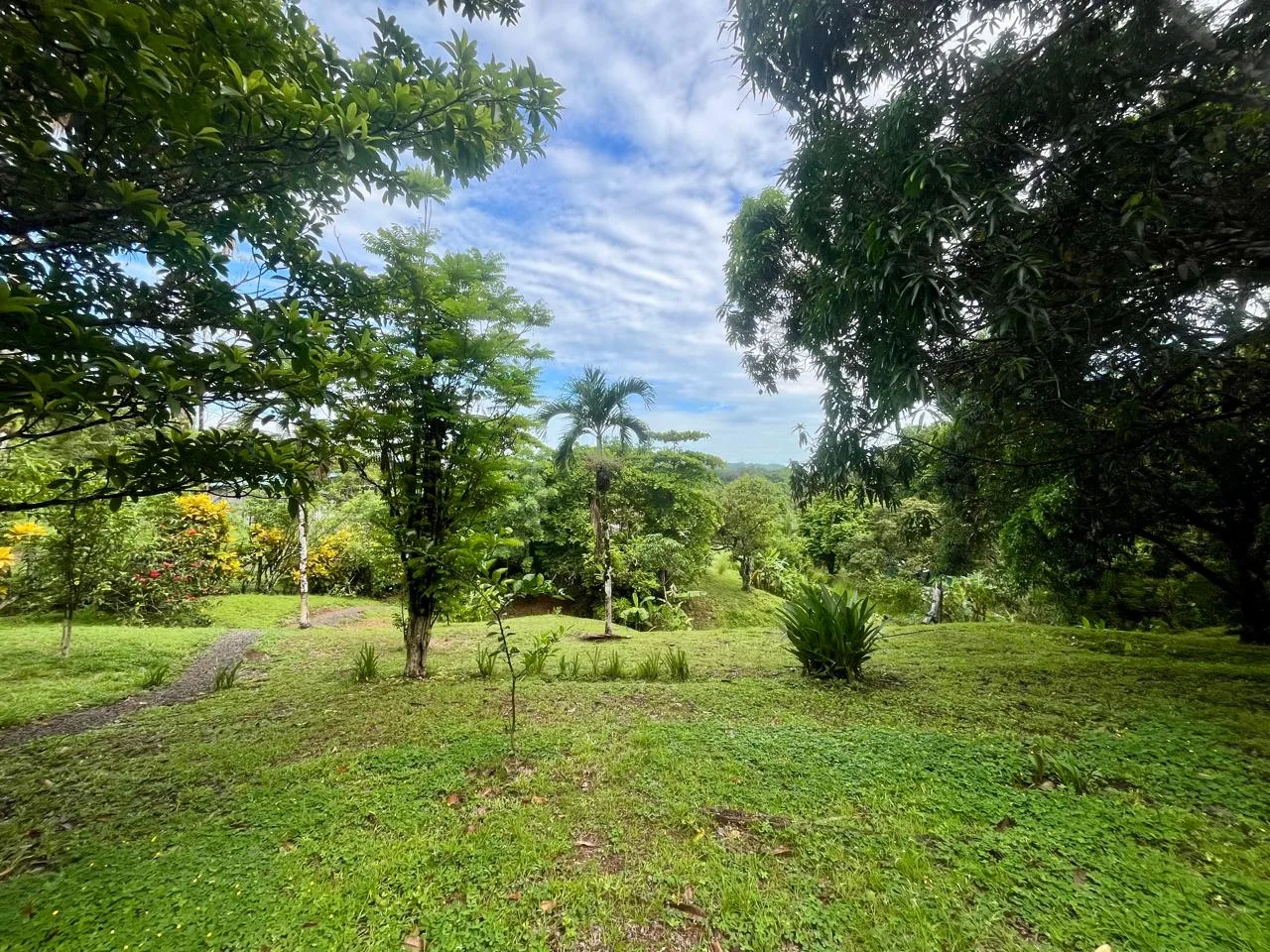 Sustainable Nature Retreat &amp; Income Property for Sale — photo 5
