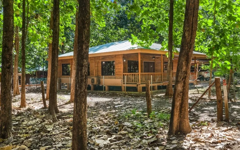 Avellanas Secrets ~ Natural Sanctuary