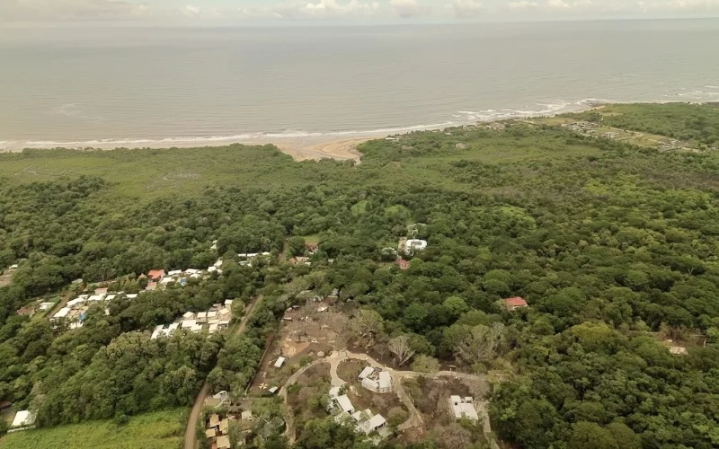 Numandi ~ Luxury Living Rooted in Sustainability