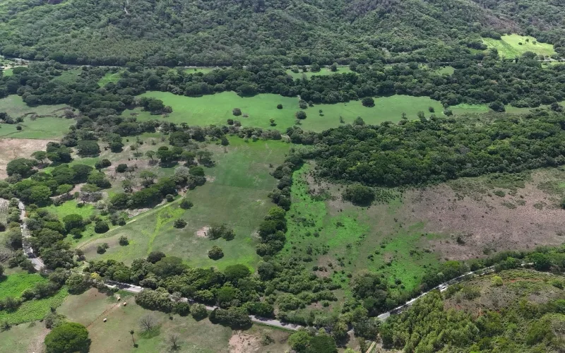 26 Hectare Farm in Rio Seco ~ Water, Pasture & Development Potential Near Playa Junquillal