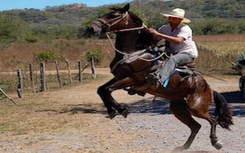 Black Stallion Hills ~ Equestrian residential community just a few minutes from Tamarindo