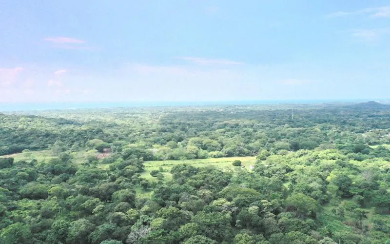 7.1 hectares lot with amazing ocean views, within 10 min from Tamarindo