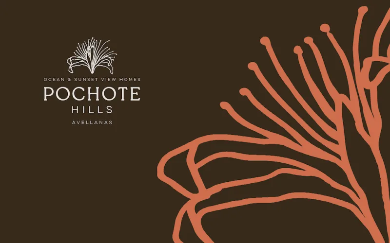 Avellanas From Above ~ Discover Pochote Hills