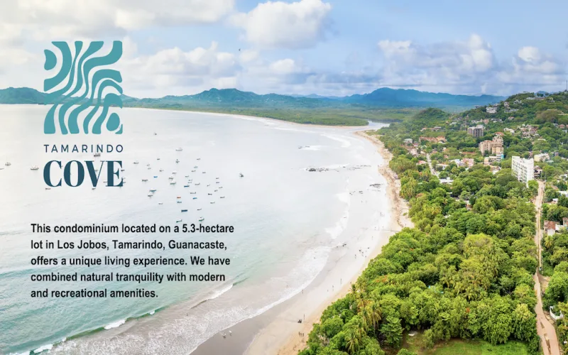 Tamarindo Cove ~ Your Gateway to Seaside Bliss