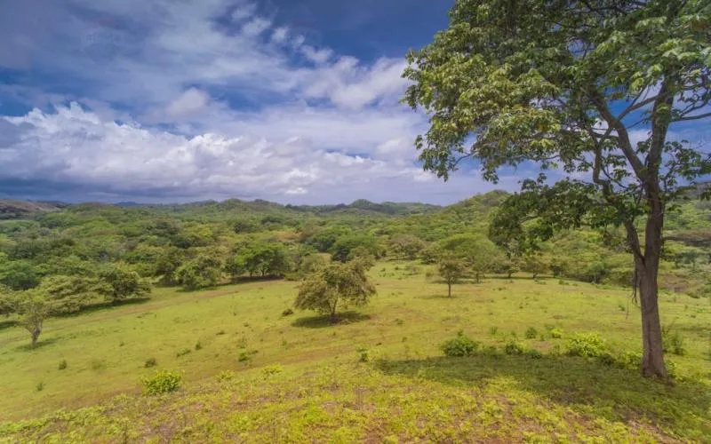PRICE REDUCTION! Finca Los Tres Leches ~ Development Opportunity