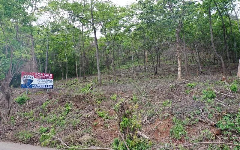 Lote Boutino ~ Residential/Commercial 3,000m2 Lot