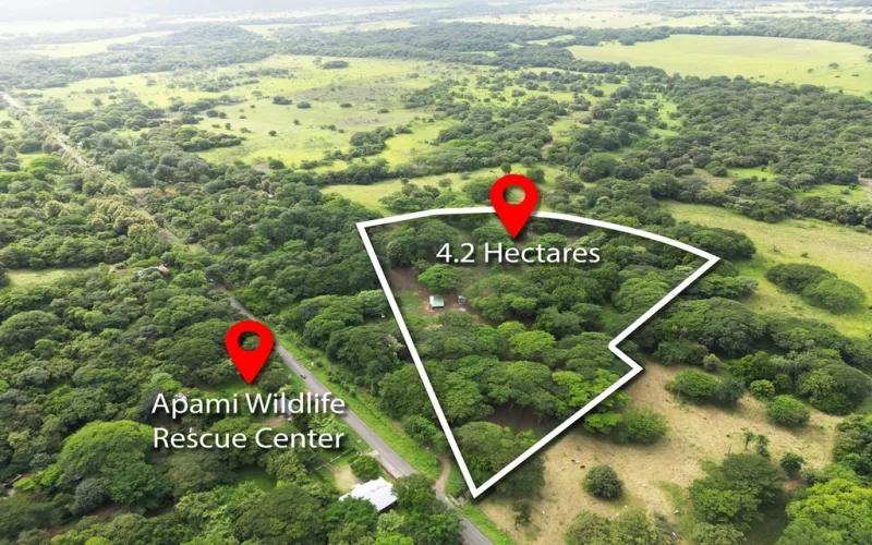 PRICE REDUCTION! 4.2 Hectare Mountain View Ranch ~ Sunrise & Sunset Vistas with Stables, Water & Unrestricted Usage