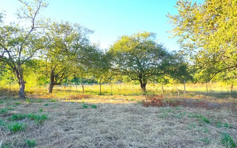 27 de Abril Land ~ Prime Land Opportunity with Main Road Frontage