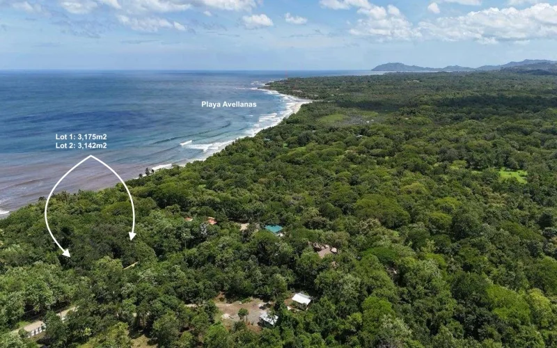 Beachfront Lots in Playa Avellanas