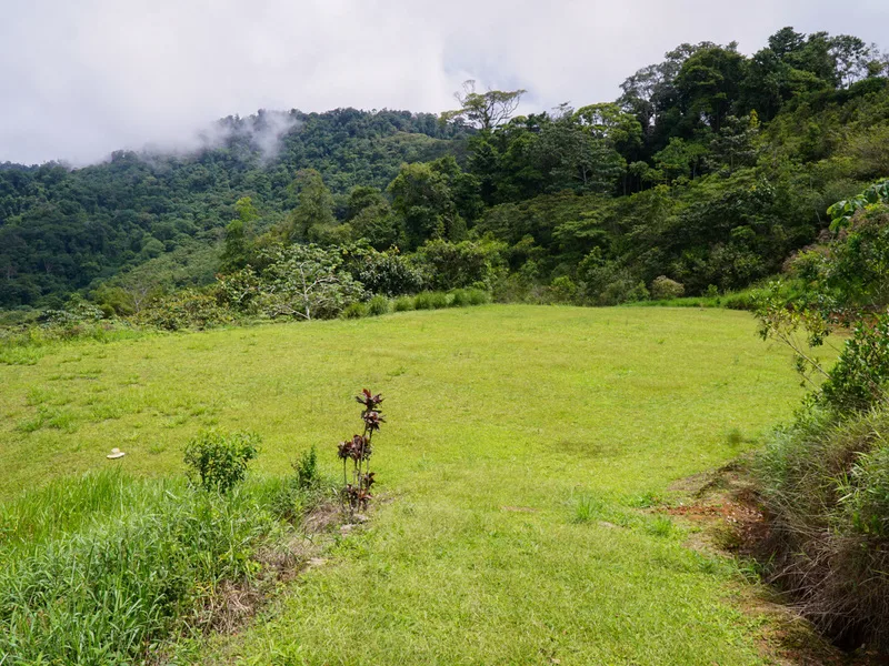 Land For Sale in Ciudad Cortes