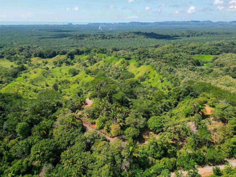 Land For Sale in Manuel Antonio