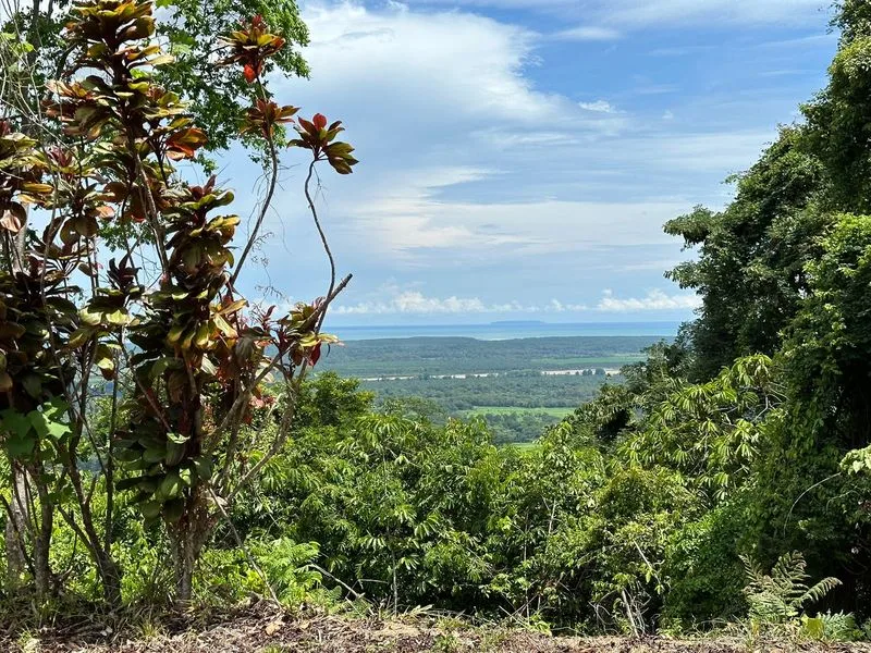 Land For Sale in Ojochal