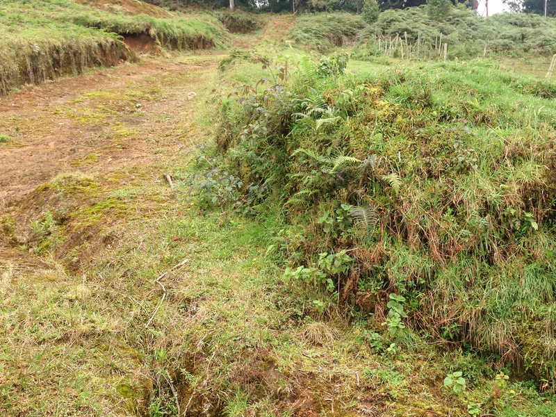 Land For Sale in Desamparados