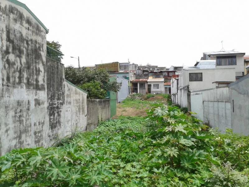 Land For Sale in San Jose — photo 2