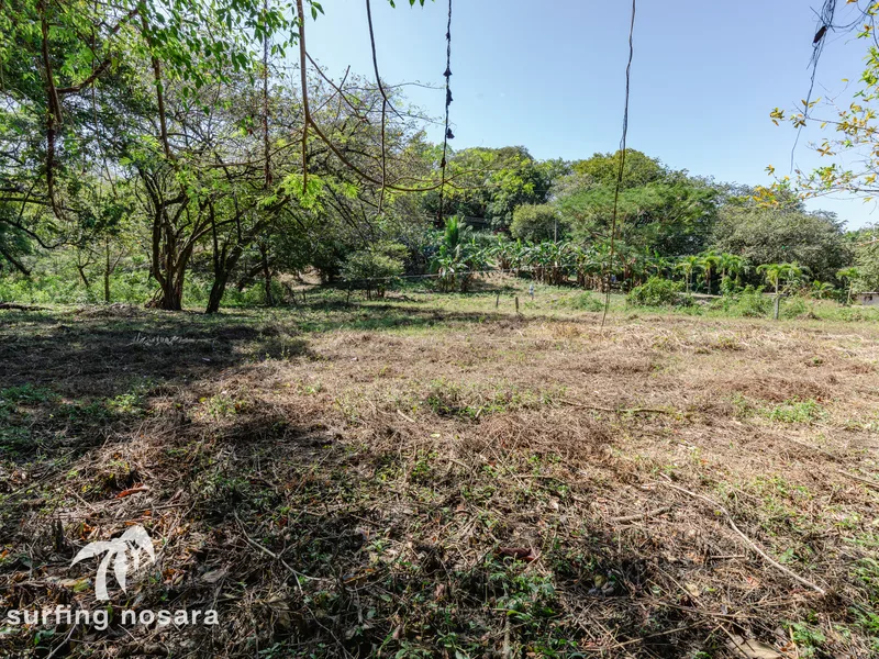 Land For Sale in Nosara