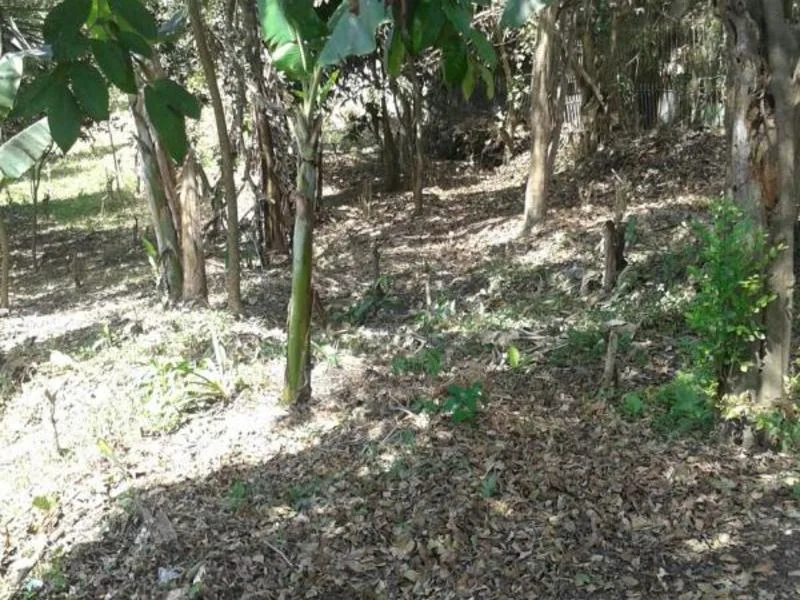 Land For Sale in Guadalupe — photo 3