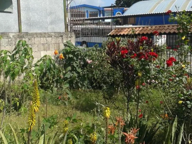 Land For Sale in Guadalupe — photo 5