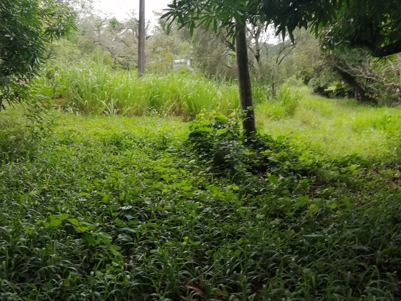 Land For Sale in Atenas