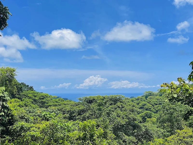 Land For Sale in Dominical