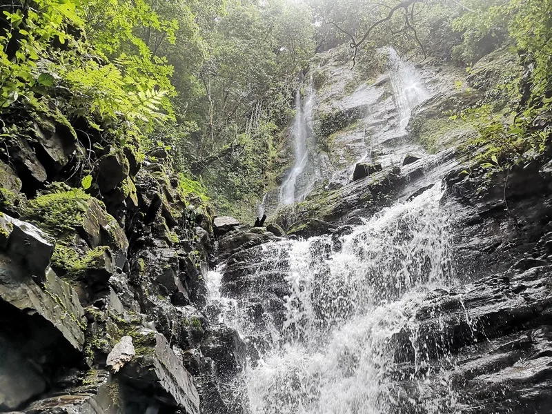 Land For Sale in Dominical