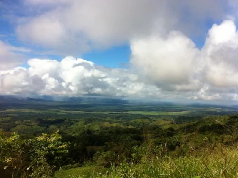 Land For Sale in Palmar