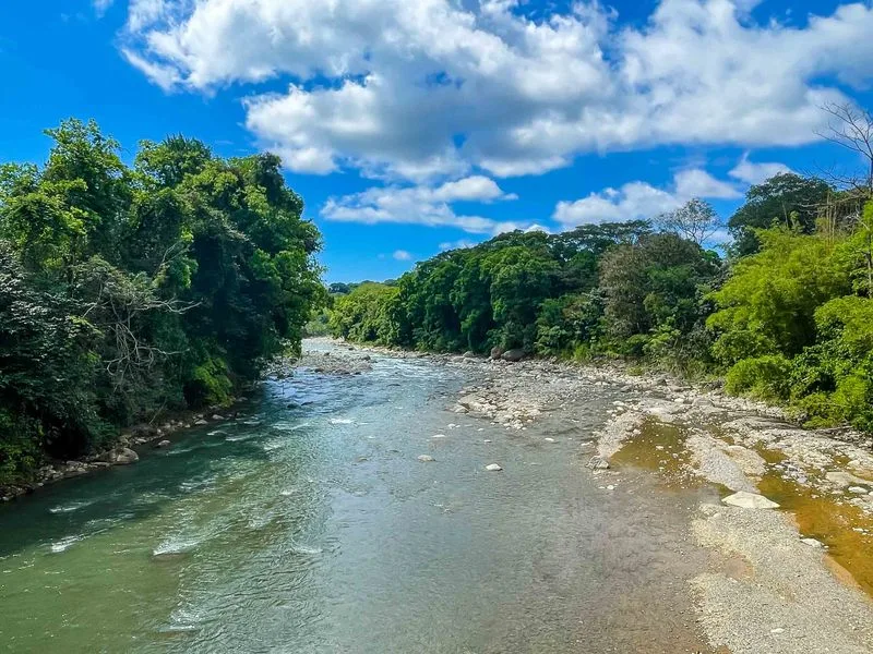 Land For Sale in Quepos