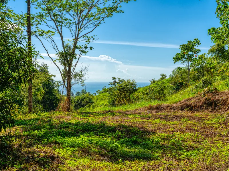 Land For Sale in Dominical