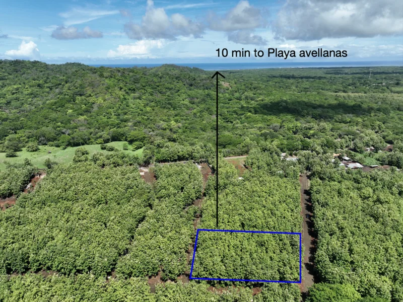 Land For Sale in Avellanas