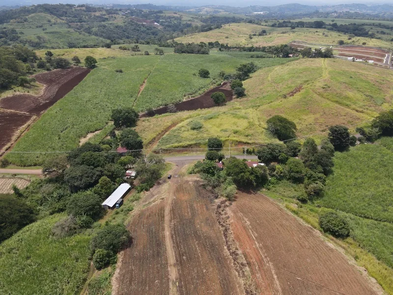 Land For Sale in Grecia