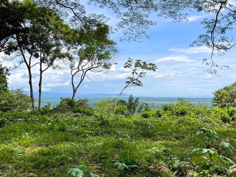 Land For Sale in Ojochal