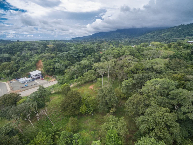 Land For Sale in Uvita