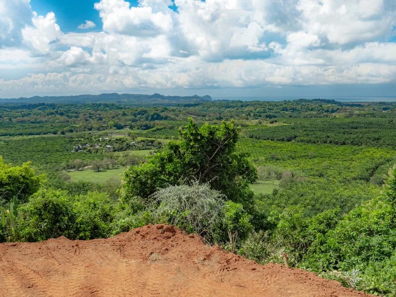Land For Sale in Quepos