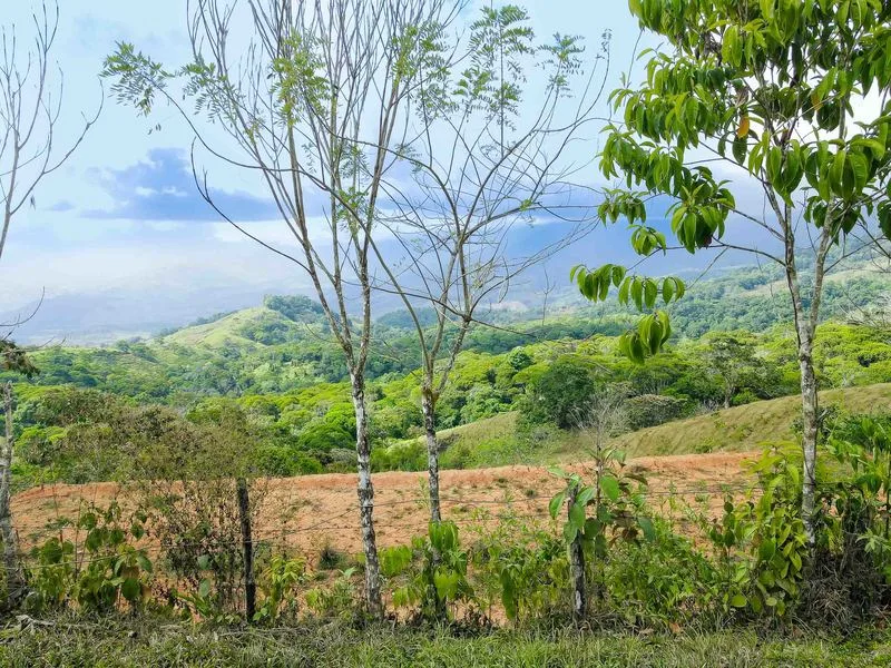 Land For Sale in Perez Zeledon — photo 3