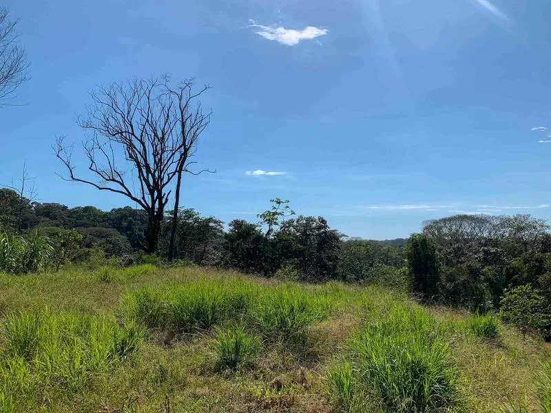 Land For Sale in Savegre