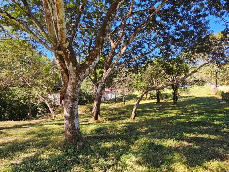 Land For Sale in Playa Carrillo